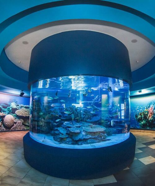 Two-Oceans-Aquarium